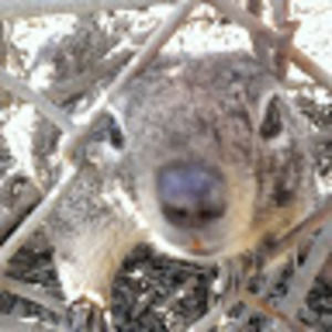 Meet your Posher, Anissa